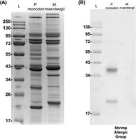 Examples of rapid diagnostic test results