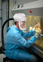 Scientist working in a biosafety cabinet