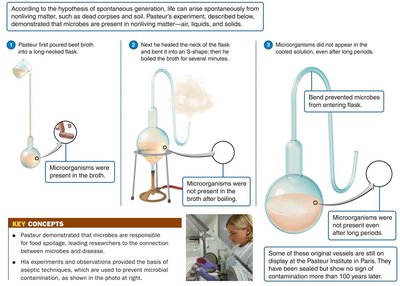 Pasteur's S-shaped flask experiment