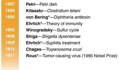 Timeline of Golden Age of Microbiology (continued)