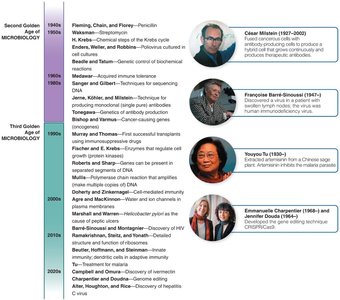 Timeline of Second and Third Golden Ages of Microbiology