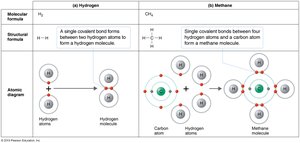 Atomic diagrams of hydrogen and methane showing covalent bonds