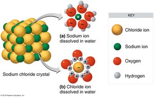 Water molecule structure
