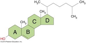 Steroid structure