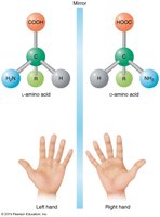 Stereoisomers of amino acids