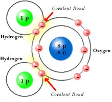 Water molecule showing covalent bonds and electron sharing