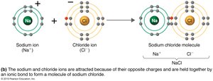 Formation of sodium chloride molecule by ionic bond