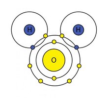 Covalent bonds in water molecule