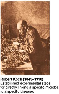 Robert Koch in his laboratory