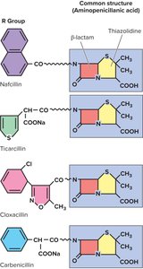 Structure of penicillins
