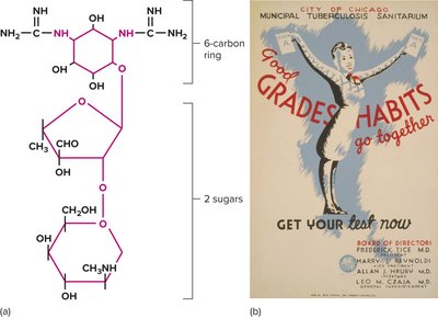 Structure of streptomycin