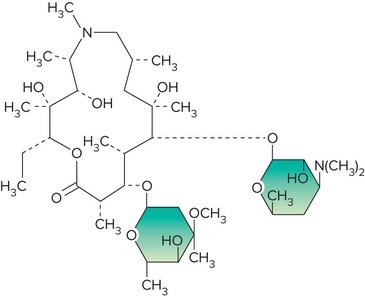 Structure of macrolide antibiotics