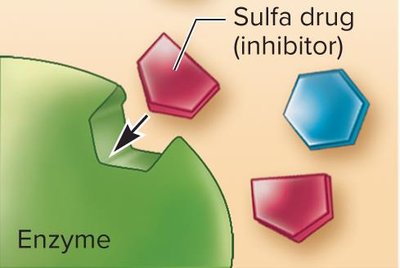 Sulfa drug mechanism