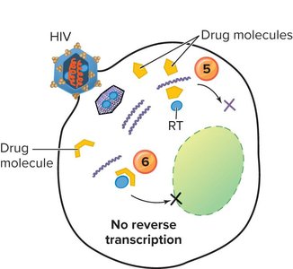 Inhibition of reverse transcription