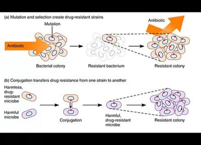 Antibiotic resistance