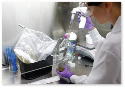 Fecal transplant procedure