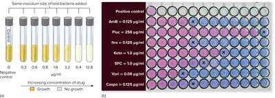 Tube dilution test for MIC