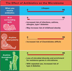 Effect of antibiotics on the microbiome