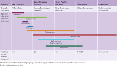 Spectrum of activity for antibiotics