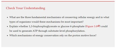 Activation energy and catalysis