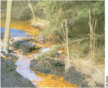 Acid mine drainage with iron oxide precipitation