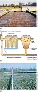 Aeration tank and trickling filter in secondary treatment