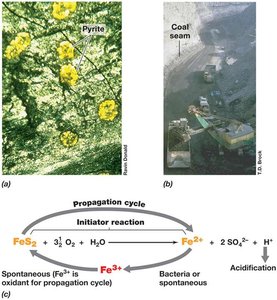 Pyrite in coal and reactions in pyrite degradation