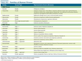 Table: Families of Human Viruses