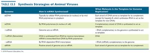 Table: Synthesis Strategies of Animal Viruses