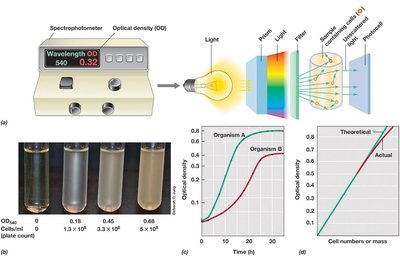 Spectrophotometric measurement of microbial growth