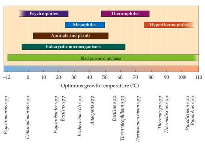 Growth rate versus temperature for different microbial groups