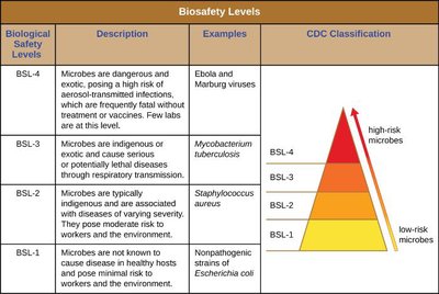 Table summarizing biosafety levels, descriptions, and examples