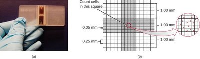 Petroff-Hausser chamber for direct microscopic cell count