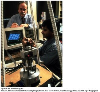 AFM 3D imaging