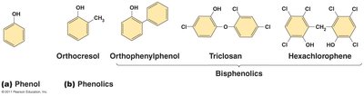 Structures of phenol and phenolics