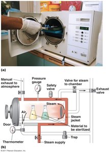 Diagram and photo of an autoclave