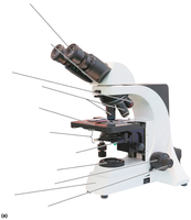 Compound microscope with labeled parts