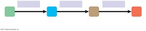 Linear metabolic pathway