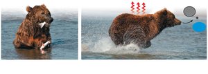 Energy transfer and heat loss
