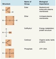 Table of representative functional groups (part 2)