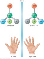 L- and D-isomers of amino acids