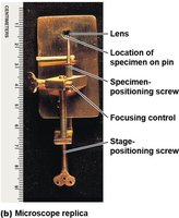 Replica of Leeuwenhoek's microscope