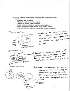 Transformation, conjugation, and transduction diagram