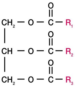 Lipid structure
