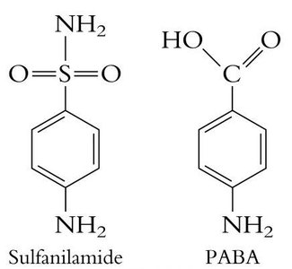 Chemical structures of sulfanilamide and PABA