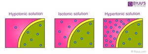 Osmotic conditions: hypotonic, isotonic, hypertonic