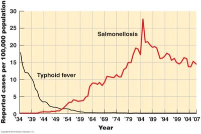 Incidence of Salmonellosis and Typhoid fever over time