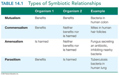 Table of types of symbiotic relationships
