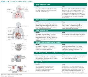 Table of some resident microbiota in the human body