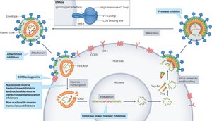 HIV prevention tools